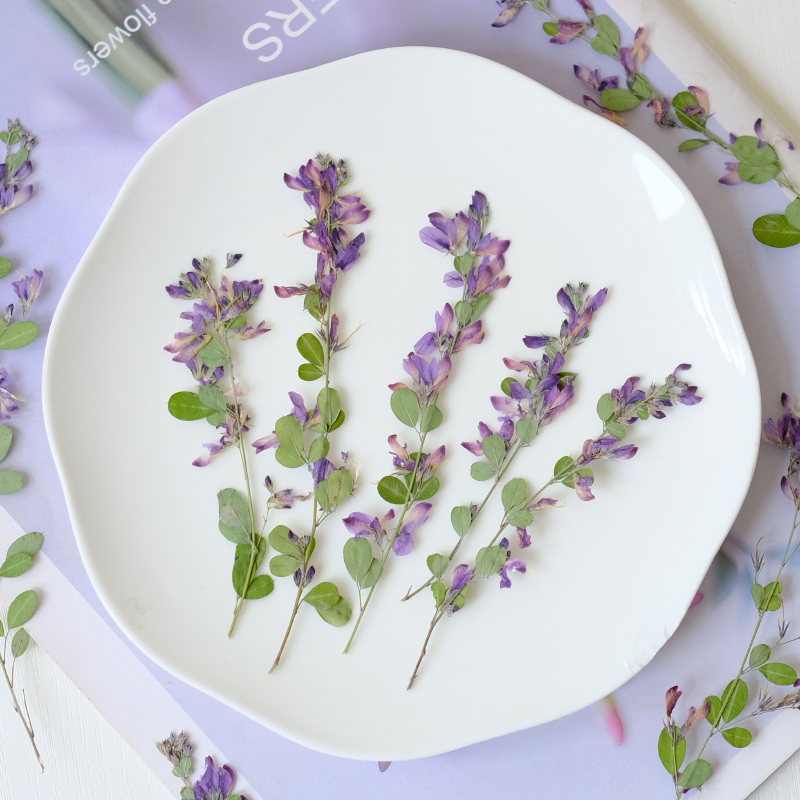 6個入り、天然レスペデザのドライプレスフラワー、植物標本絵画 - Resin Art Bookmark のレビューと価格