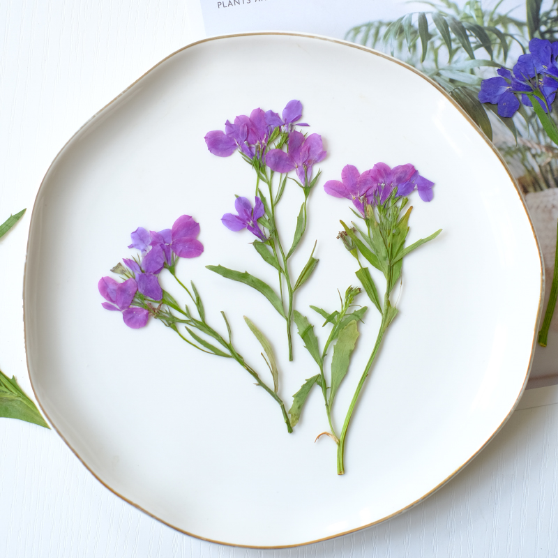 6個/8-13cm、自然のロベリア・エリヌス乾燥押し花、茎付 - Resin Art Bookmark のレビューと価格